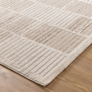 Trend Modern Stripes Grey and Beige Rug - T100