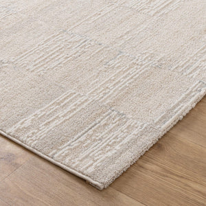 Trend Distressed Beige and Grey Rug - T300