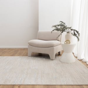 Trend Distressed Beige and Grey Rug - T300