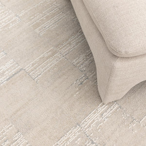 Trend Distressed Beige and Grey Rug - T300