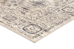 Arya Cream Ziegler Traditional Ikat Rug - Floorsome - Traditional