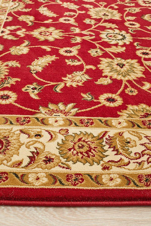 Classic Rug Red with Ivory Border - Floorsome - Traditional